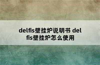 delfis壁挂炉说明书 delfis壁挂炉怎么使用